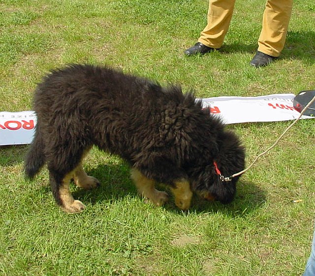 Immagine 061.jpg